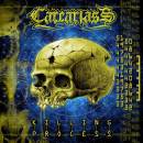 CARCARIASS.jpg (6158 octets)