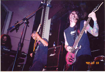 Psypheria02.jpg (17937 octets)