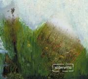Rakothcover.jpg (5766 octets)