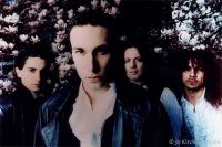 heavnely_band.jpg (9069 octets)