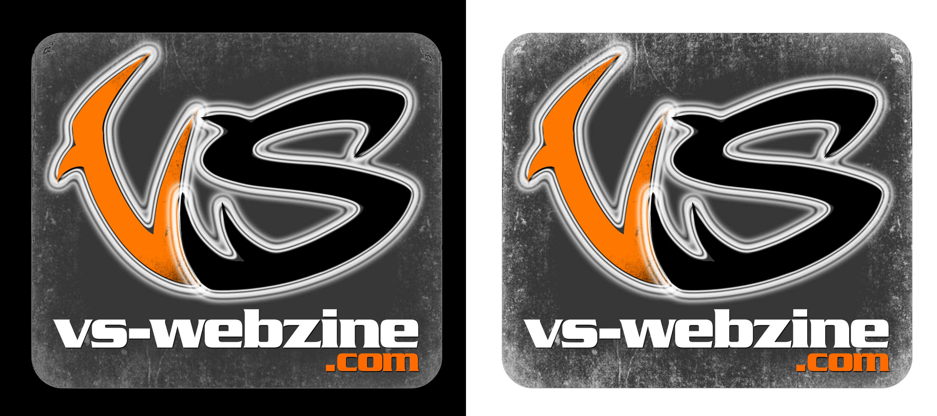 logo-vs-final-gris.jpg (1398161 octets)