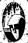 HEAD